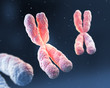 3d rendering of X chromosome Genetic medical background.