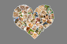 Cat Photo Collage In The Shape Of A Heart Isolated On Gray Background