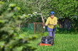 Elderly woman mows the lawn with an electric lawn mower on allotment