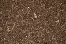 Dark Brown Garden Mulch From Directly Above. Full Frame Background Image.
