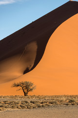 Wall Mural - Dunes at Sossusvlei, Namibia