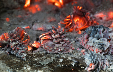 Sticker - Burning Pine Cone ,New Years card.