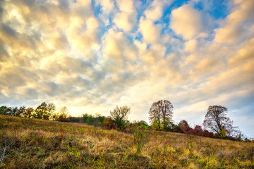 Poster - Autumn view near Deva citadel, Romania