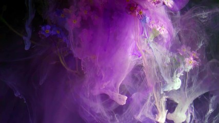 Wall Mural - Blue and Pale Magenta Flowers. Fluid Art.