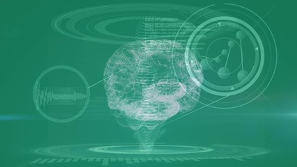 Poster - study of a brain