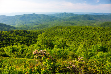 Blue Ridge Mountain Overlook