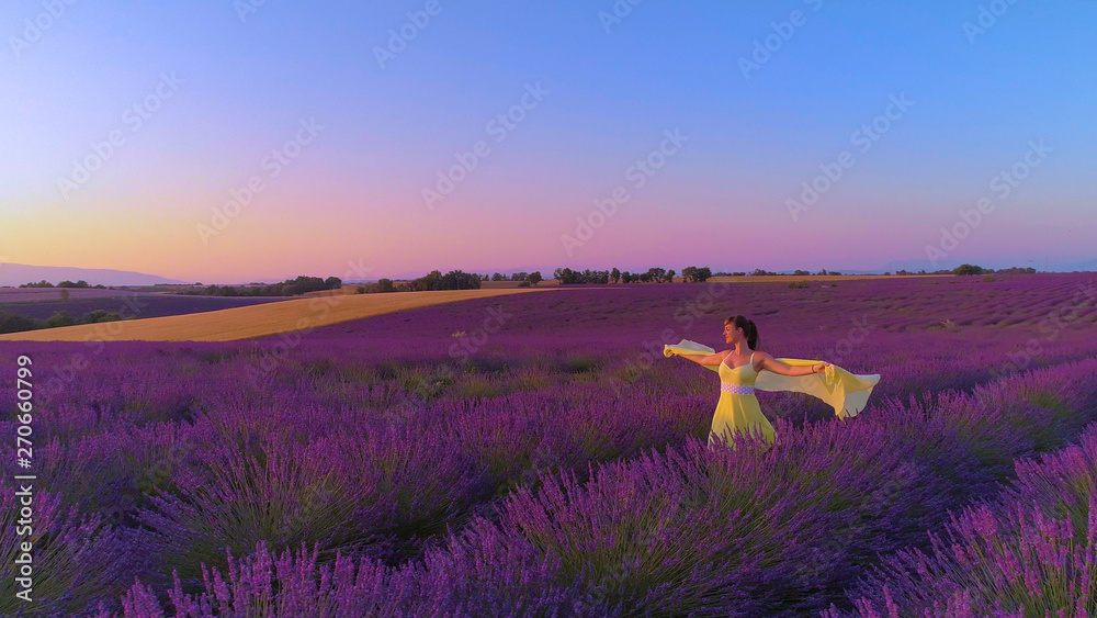 AERIAL: Carefree woman outstretches her arms while walking in fields of lavender - obrazy, fototapety, plakaty 