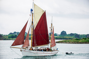 Wall Mural - Semaine du Golfe du Morbihan