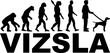 Vizsla Evolution with name