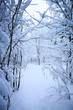 © Natasha - snowscape