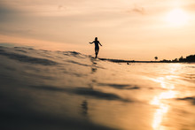 Young Woman Surfing Waves In The Ocean At Sunset