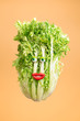 © CACTUS Creative Studio/Stocksy - Mrs. Lettuce