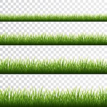 Green Grass Border Set On White Background. Vector Illustration