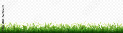 Fotografía Green grass border set on white background. Vector Illustration