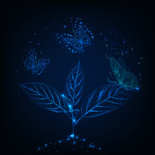 Futuristic Glowing Low Poly Flying Butterflies Around Green Plant On Dark Blue Background.