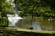 University of Essex lake with trees