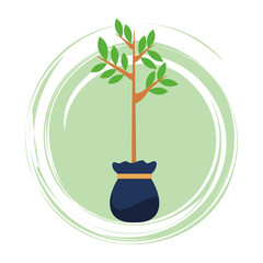 Poster - small tree growing from grow bag