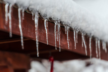 Wall Mural - Winter frozen icicles