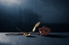 The Dried Roses Flower On The Dark Floor With Shading Dark Background