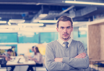 Wall Mural - Portrait of successful Businessman