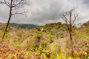 Wall Mural - Tayrona National Park, Colombia