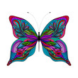 Hand drawn doodle element butterfly in vector. Ethnic design. EPS 10