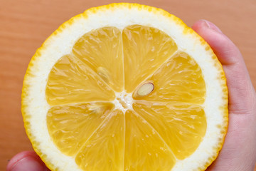 Girl holding a lemon close up. Home grown lemon, organic food that the girl holds in her hand on a blue background, space for text border