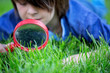 Preteen child, boy, exploring with magnifying glass, watching ladybugs
