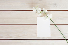 Wedding Invitation Birthday Gift Certificate For A Spa Or Care Decorated Letter Card On A White Wooden Table With A Branch Of White Flowers.