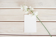 Wedding Invitation Birthday Gift Certificate For A Spa Or Care Decorated Letter Card On A White Wooden Table With A Branch Of White Flowers.