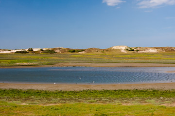 Wall Mural - View at Het Zwin, West Flanders, Belgium