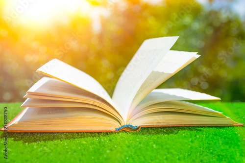 Obraz Dibond Open book on the green grass in the sun. hobby. free time. recreation. literature. education.