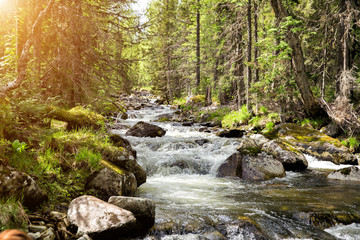 Mountain clean river with many rapids