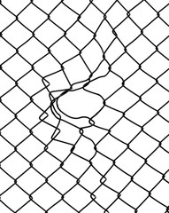 damage wire mesh