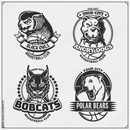 Bear All Badges