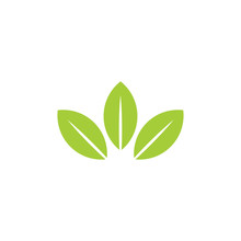 Simple Green Leaf Geometric Logo Vector