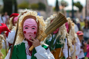 Wall Mural - Merdeiros of Vigo at Iberian mask parade in Lisbon