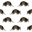Seamless pattern with armadillos. 