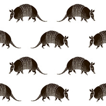 Seamless Pattern With Armadillos. 