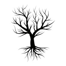 Naked Trees Silhouettes Illustration