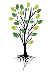 Wall Mural - Illustration Tree with Roots