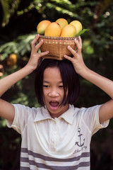 Wall Mural - Asian girl holding a yellow ripe mango basket in hand at thailand