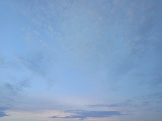 Wall Mural - cloud in the sky and the tree