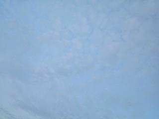 Wall Mural - cloud in the sky and the tree