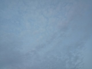 Wall Mural - cloud in the sky and the tree