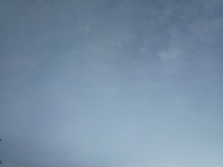 Wall Mural - cloud in the sky and the tree