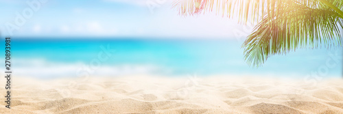 Sunny tropical beach with palm trees Canvas Print