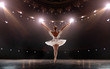 © VIAR PRO studio - Ballet. Classical ballet performed by a couple of ballet dancers on the stage of the opera house.