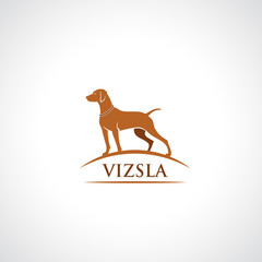 Wall Mural - Vizsla dog symbol - vector illustration - Vector