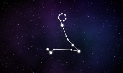 Wall Mural - Pices constellation astrological sign with the galaxy background